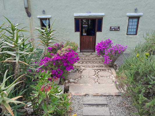 Mcgregor Backpackers Mcgregor Western Cape South Africa House, Building, Architecture, Garden, Nature, Plant