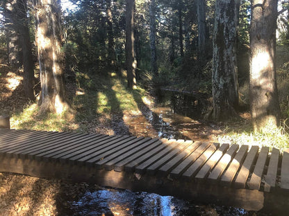 Meander Stay Clarens Clarens Free State South Africa Bridge, Architecture, Forest, Nature, Plant, Tree, Wood, River, Waters, Leading Lines