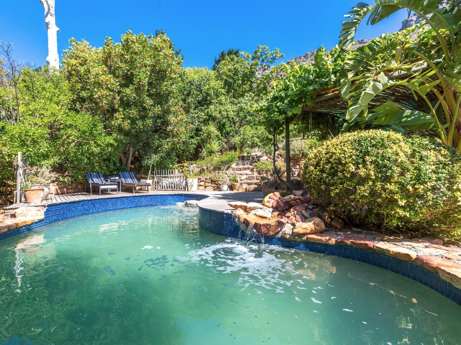 Mediterranean Style Beauty Hout Bay Cape Town Western Cape South Africa Complementary Colors, Garden, Nature, Plant, Swimming Pool