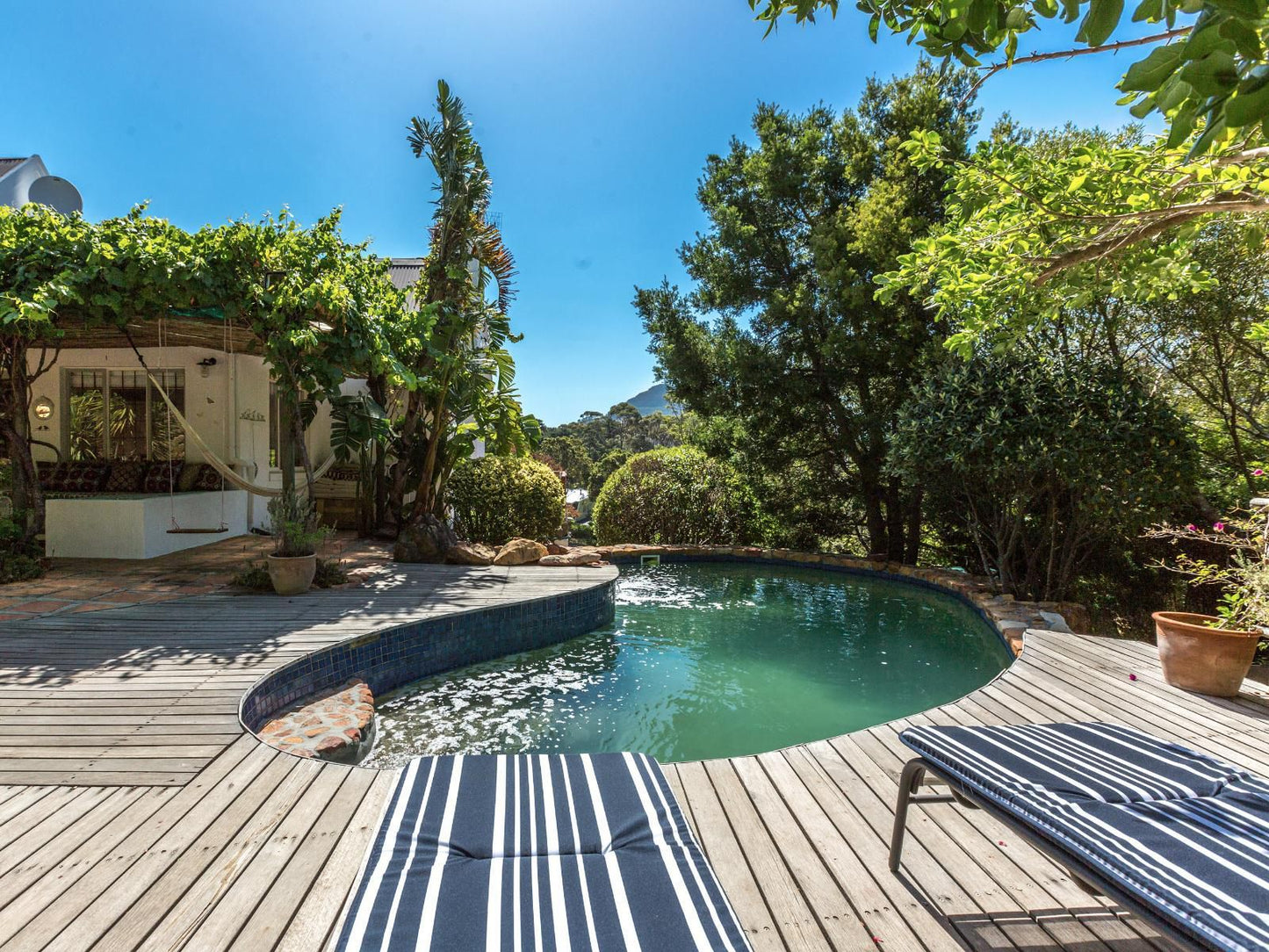 Mediterranean Style Beauty Hout Bay Cape Town Western Cape South Africa Complementary Colors, Garden, Nature, Plant, Swimming Pool