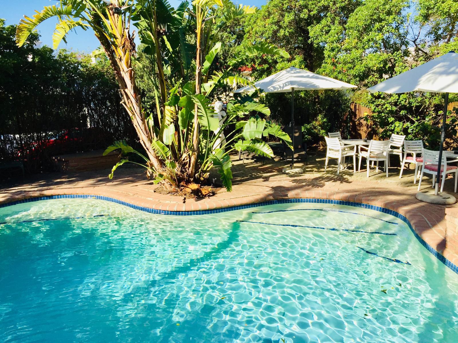 Mediterranean Villa, Palm Tree, Plant, Nature, Wood, Garden, Swimming Pool