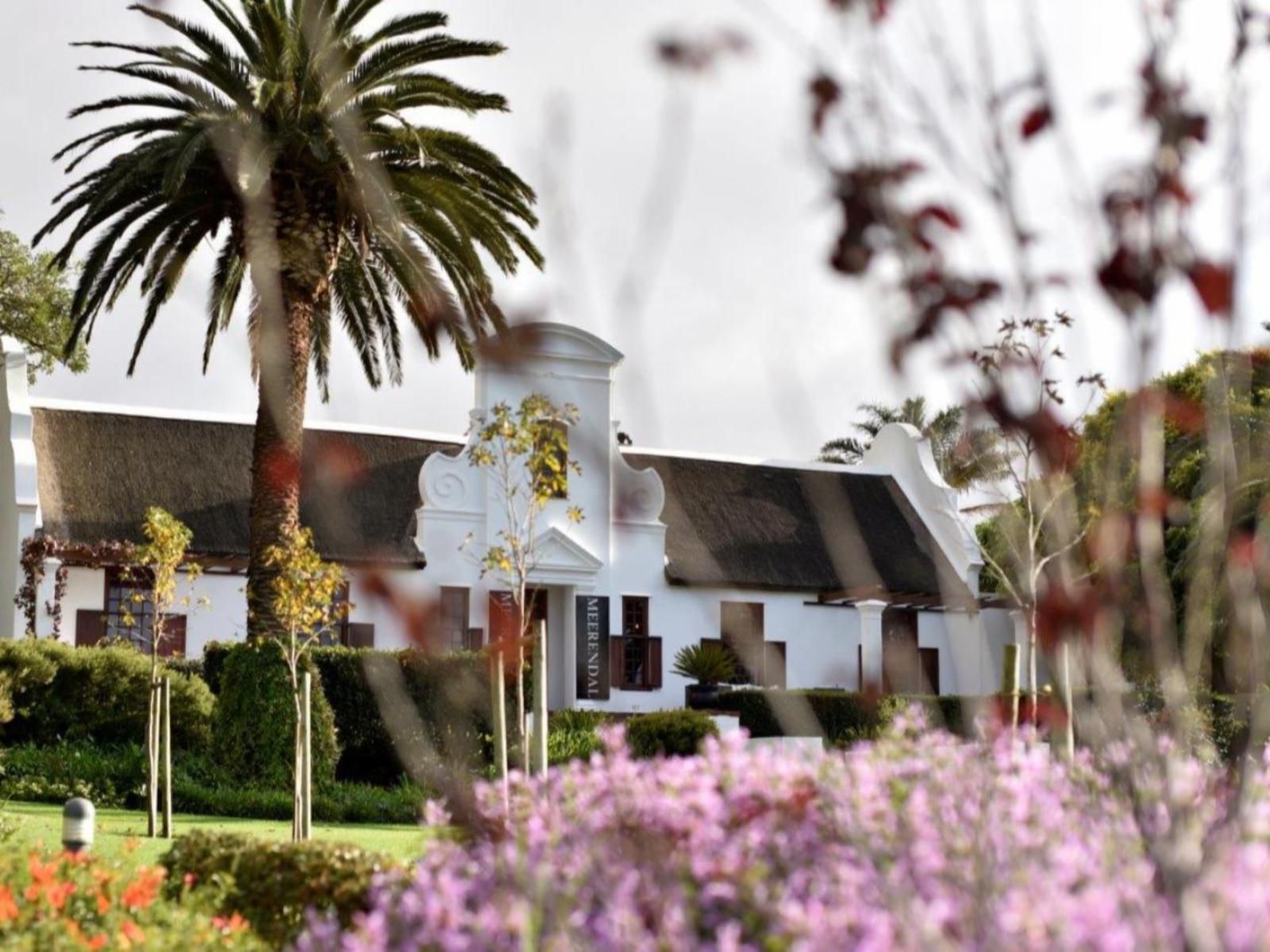 Meerendal Boutique Hotel Durbanville Cape Town Western Cape South Africa Palm Tree, Plant, Nature, Wood