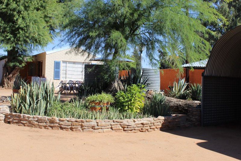 Meerkat Compound Kakamas Northern Cape South Africa Plant, Nature, Desert, Sand