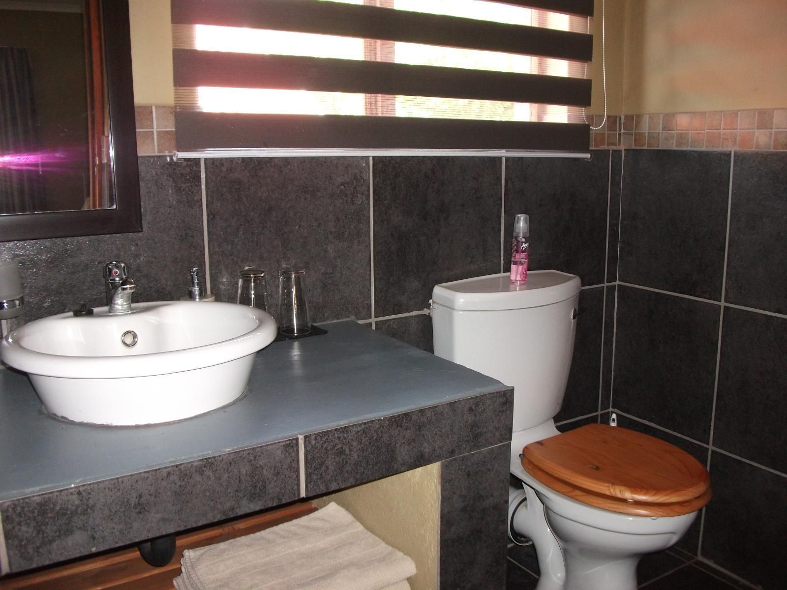 Meerkat Manor Komatipoort Mpumalanga South Africa Bathroom