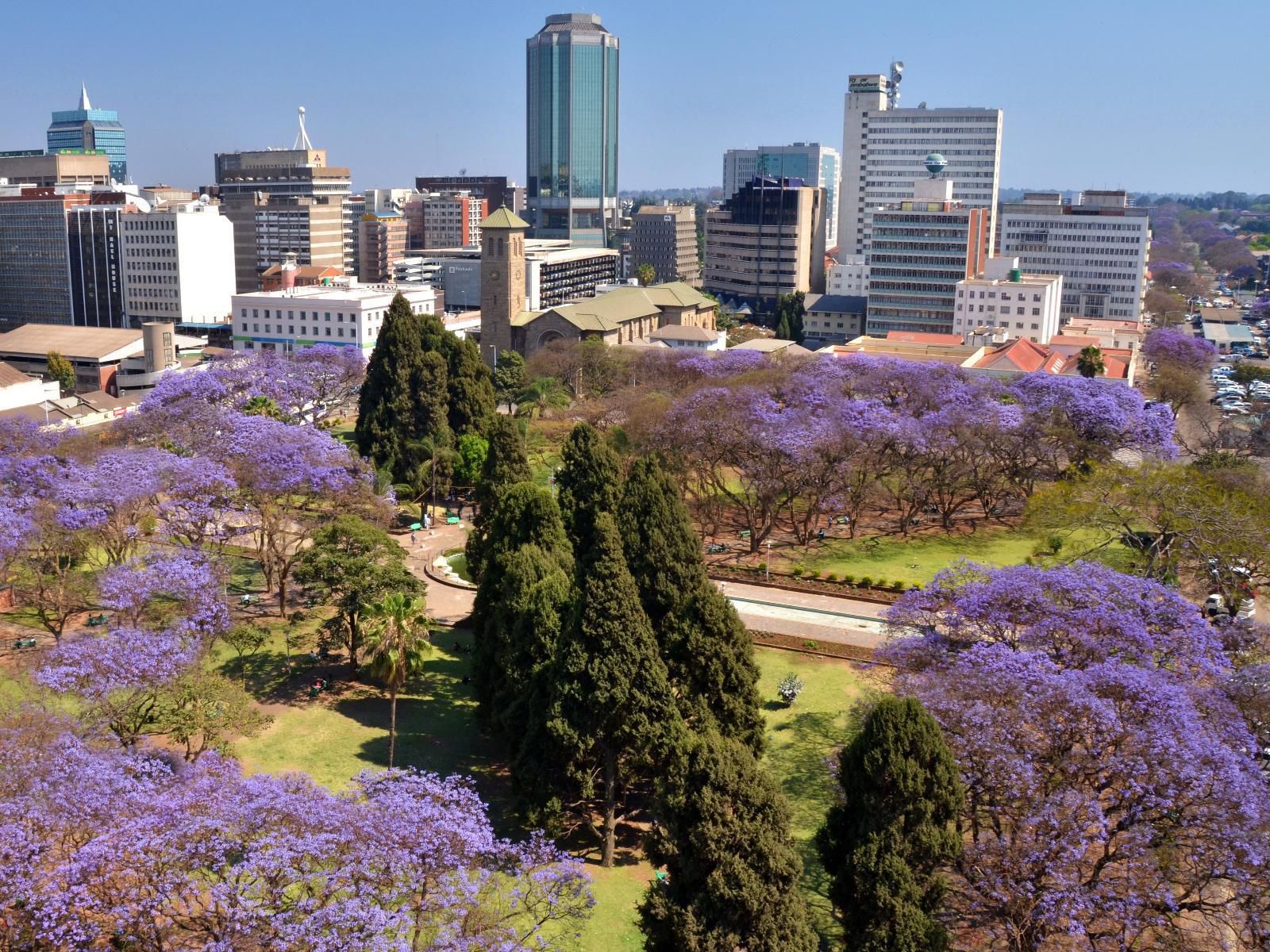 Meikles Hotel, Blossom, Plant, Nature, Skyscraper, Building, Architecture, City