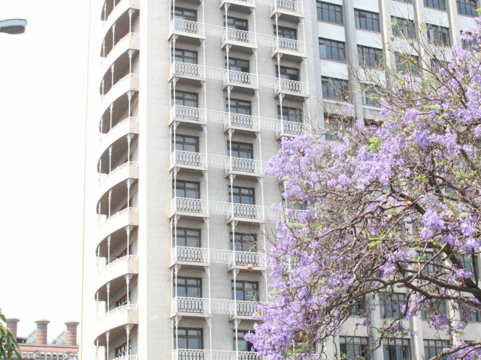 Meikles Hotel, Balcony, Architecture, Blossom, Plant, Nature