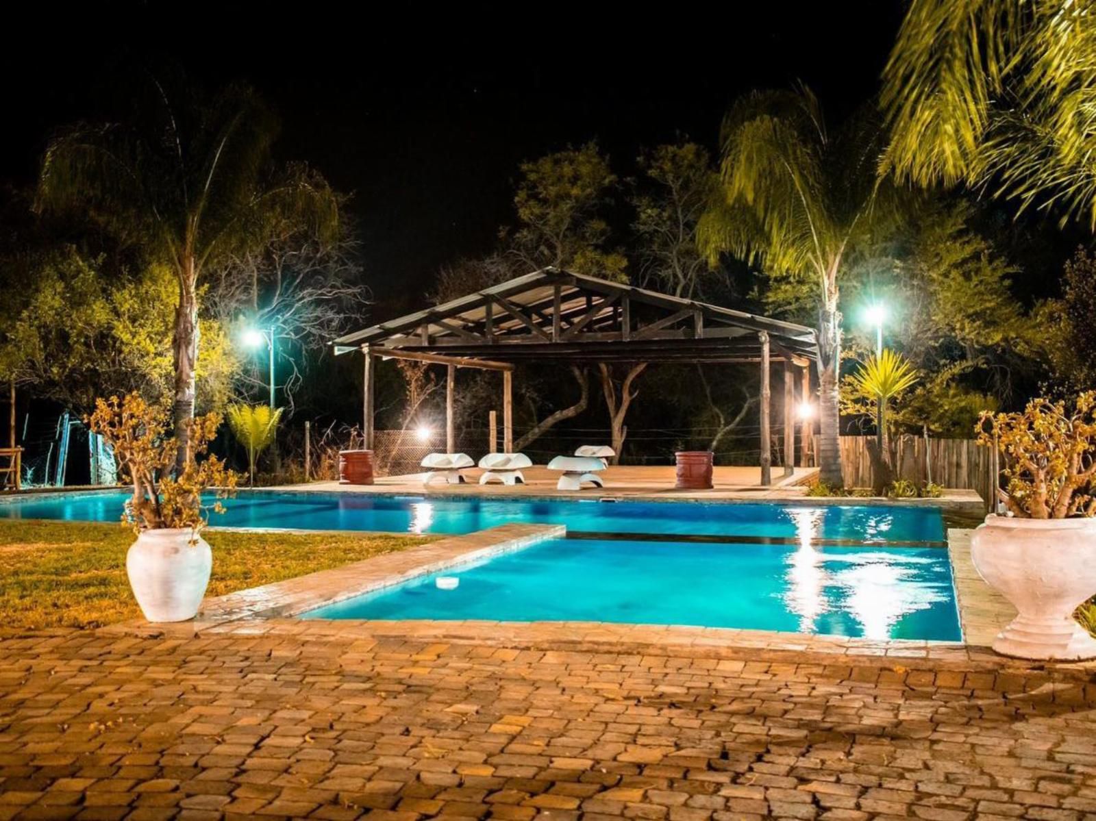 Mela Luxury Game Lodge, Palm Tree, Plant, Nature, Wood, Swimming Pool