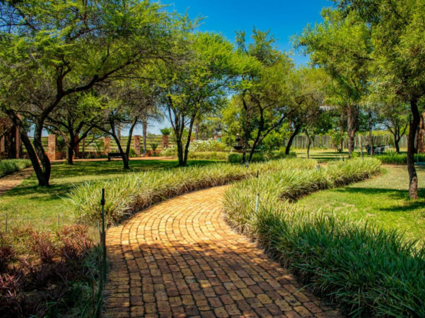 Mela Luxury Game Lodge, Plant, Nature, Garden