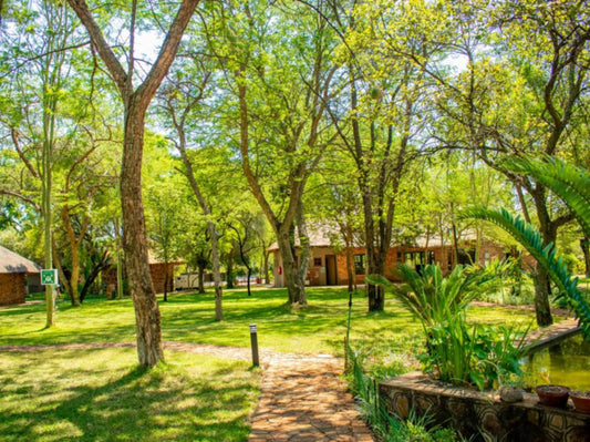 Mela Luxury Game Lodge, Colorful, Plant, Nature, Garden