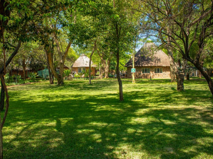 Mela Luxury Game Lodge, Colorful