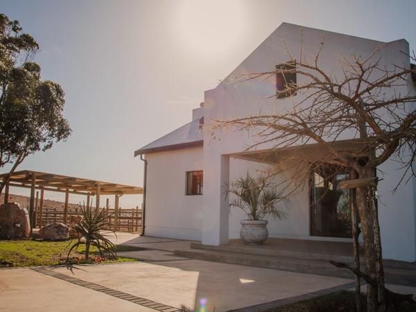 Melk Houte Bosch Guest Farm Malgas Western Cape South Africa House, Building, Architecture, Palm Tree, Plant, Nature, Wood