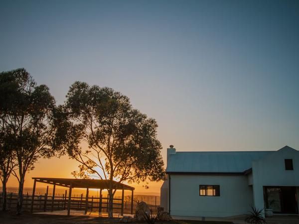 Melk Houte Bosch Guest Farm Malgas Western Cape South Africa Sunset, Nature, Sky