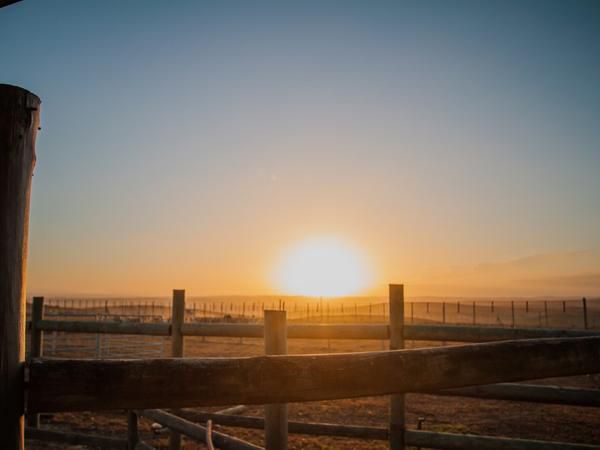 Melk Houte Bosch Guest Farm Malgas Western Cape South Africa Beach, Nature, Sand, Pier, Architecture, Sunset, Sky