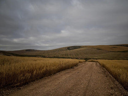 Melk Houte Bosch Guest Farm Malgas Western Cape South Africa Field, Nature, Agriculture, Lowland, Street