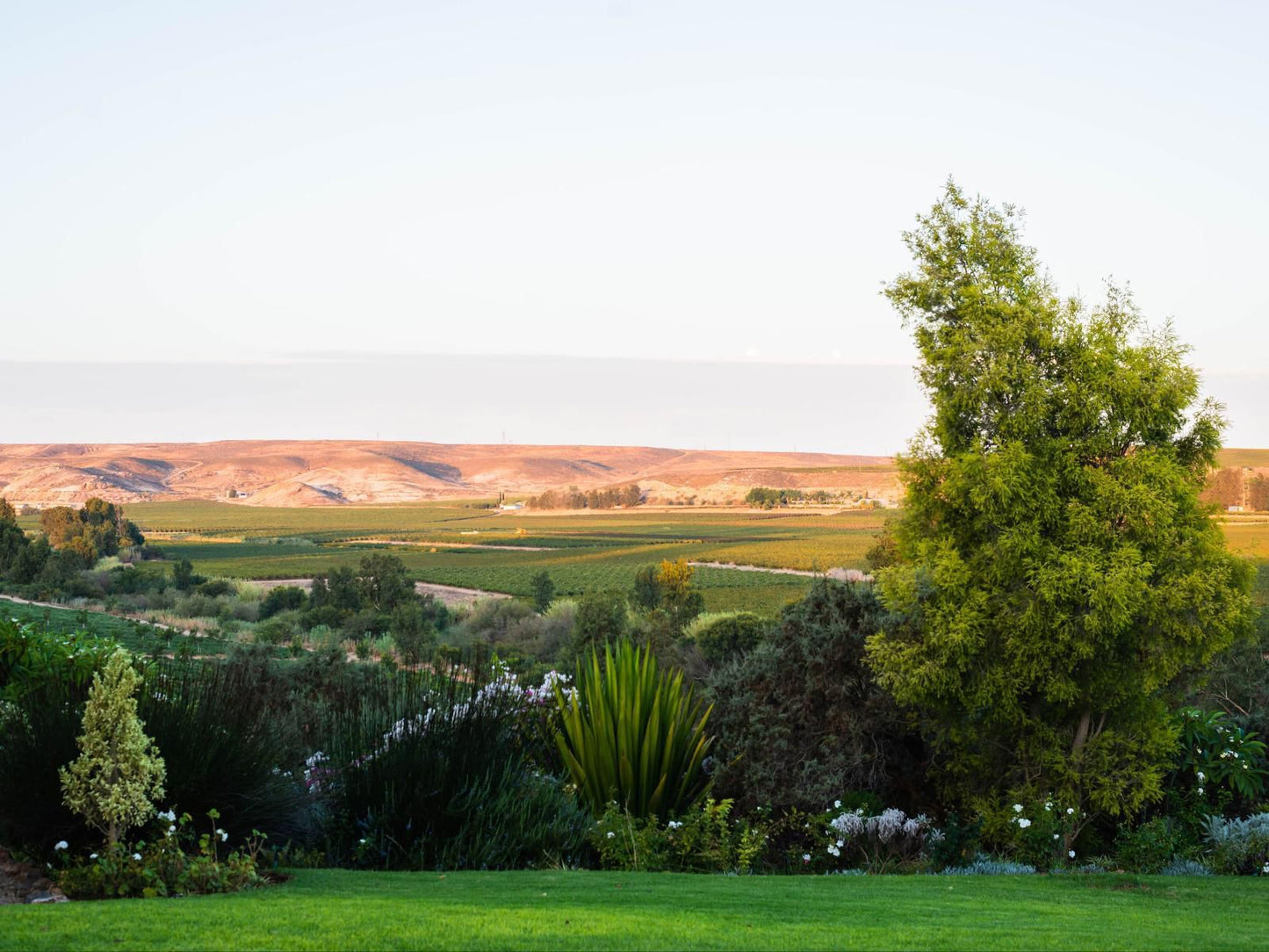 Melkboomsdrift Guest House And Conference Centre Vredendal Western Cape South Africa Nature