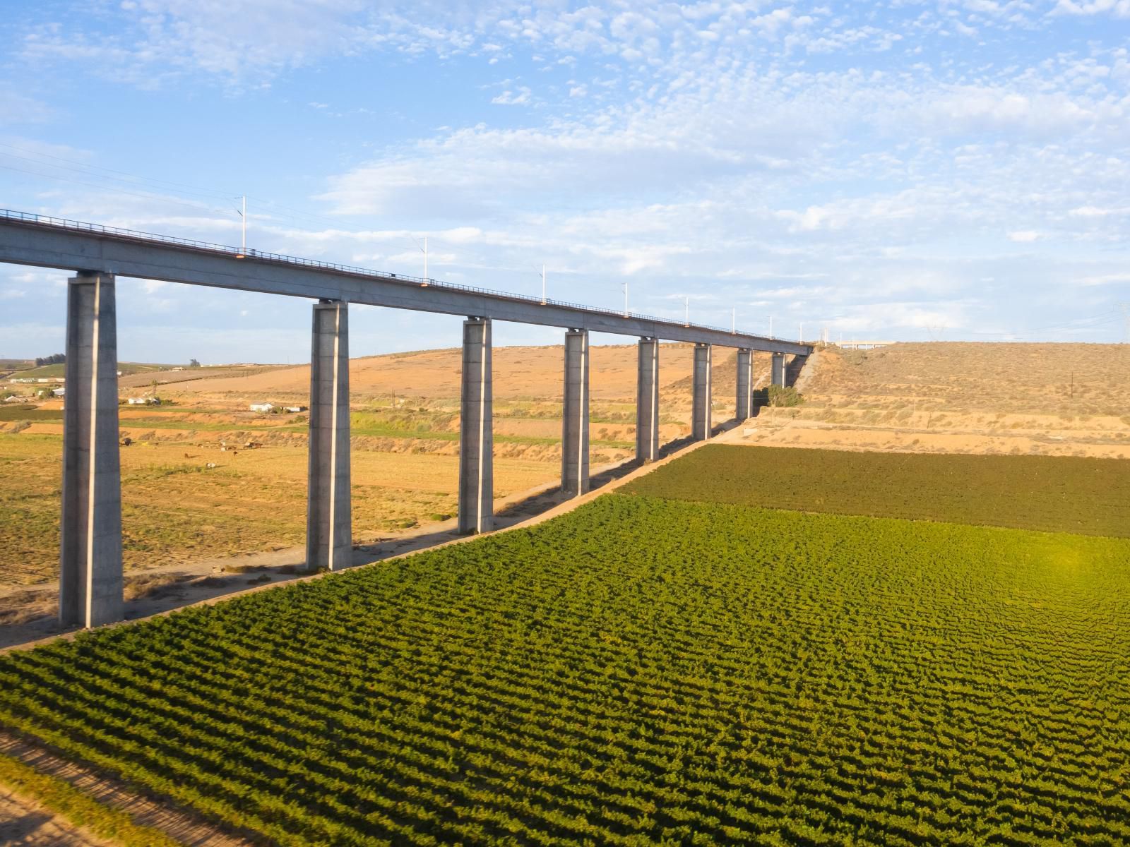 Melkboomsdrift Guest House And Conference Centre Vredendal Western Cape South Africa Complementary Colors, Colorful, Bridge, Architecture, Field, Nature, Agriculture, Canola, Plant, Leading Lines