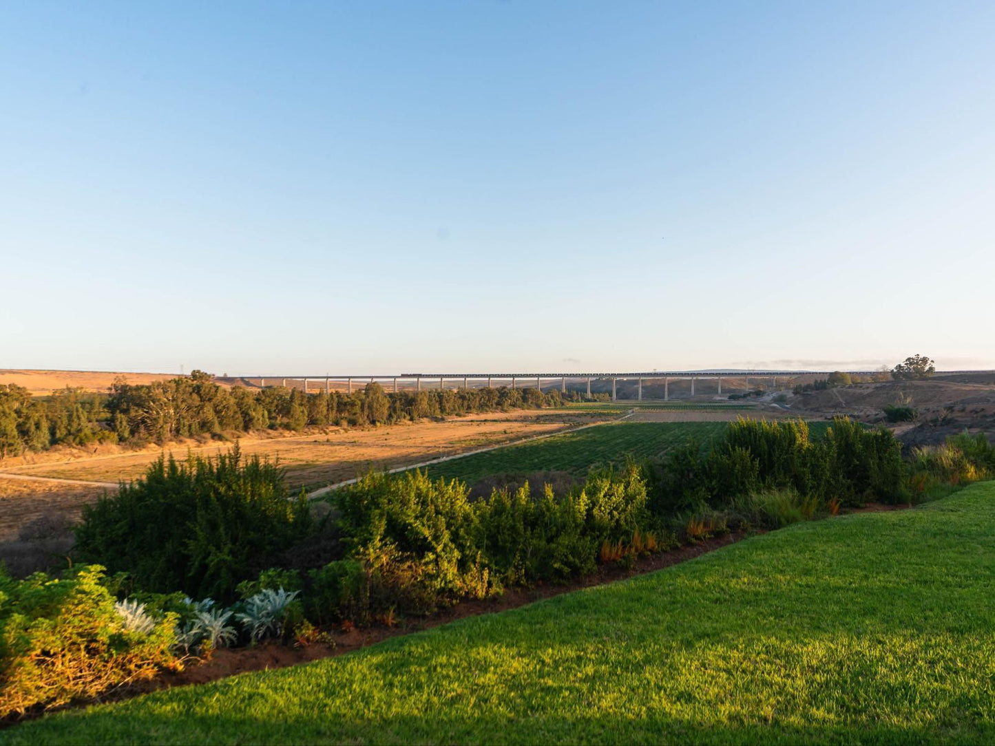 Melkboomsdrift Guest House And Conference Centre Vredendal Western Cape South Africa Complementary Colors, Field, Nature, Agriculture, Lowland