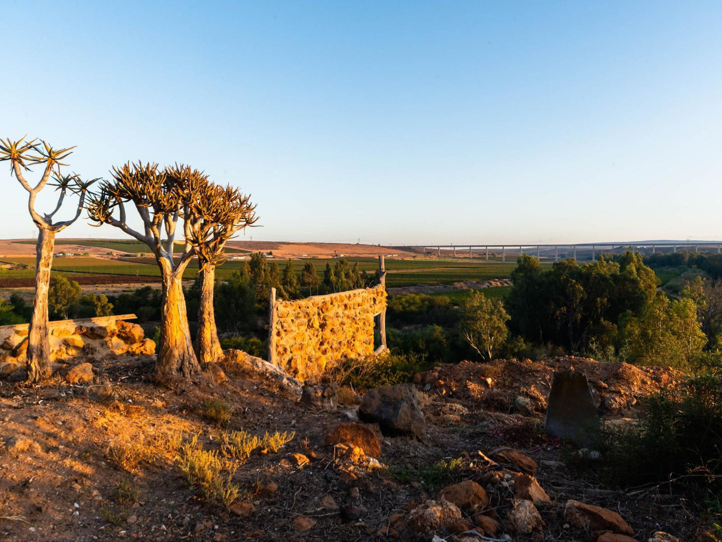 Melkboomsdrift Guest House And Conference Centre Vredendal Western Cape South Africa Complementary Colors, Field, Nature, Agriculture, Ruin, Architecture, Lowland