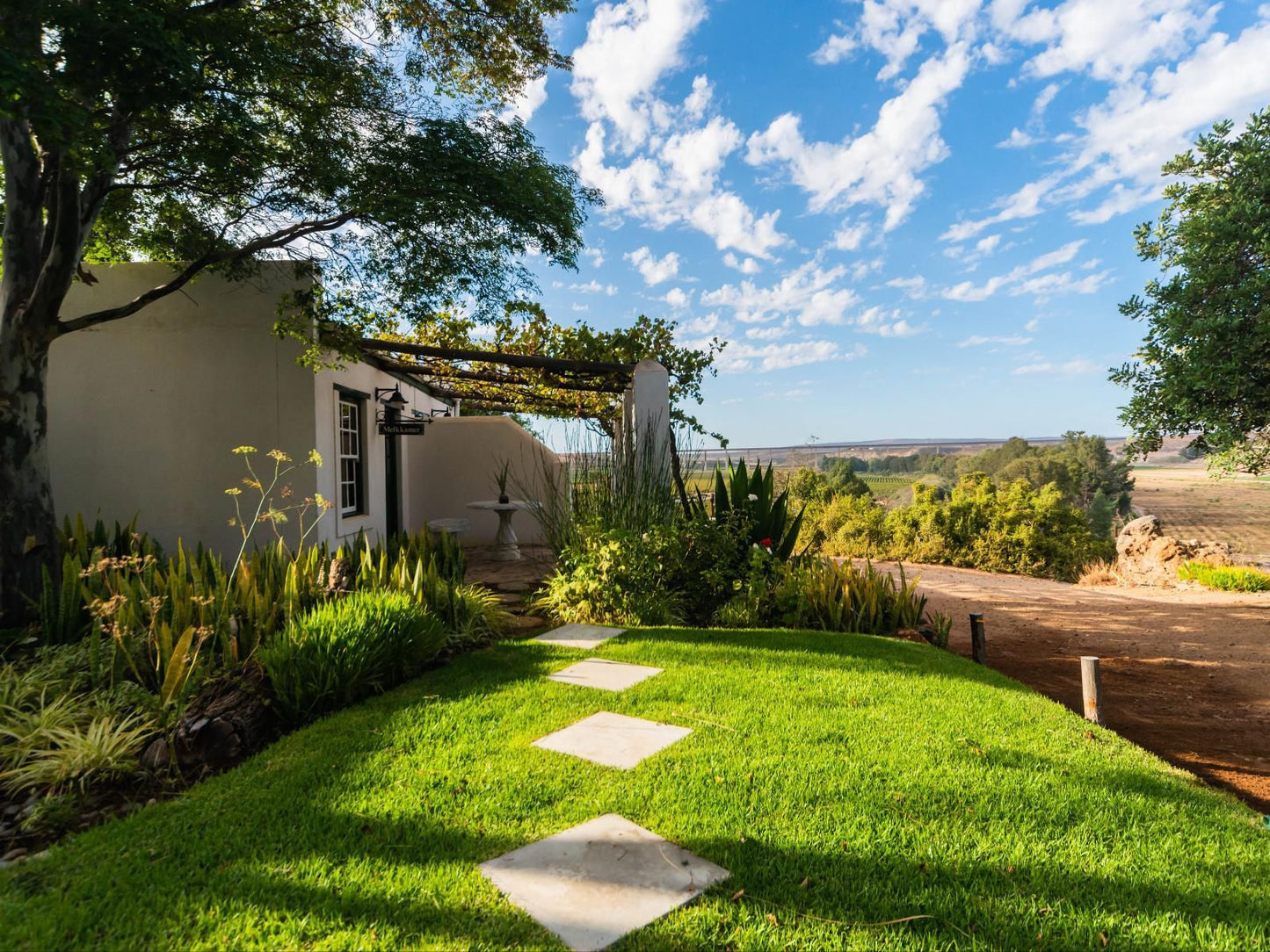 Melkboomsdrift Guest House And Conference Centre Vredendal Western Cape South Africa Complementary Colors, Garden, Nature, Plant