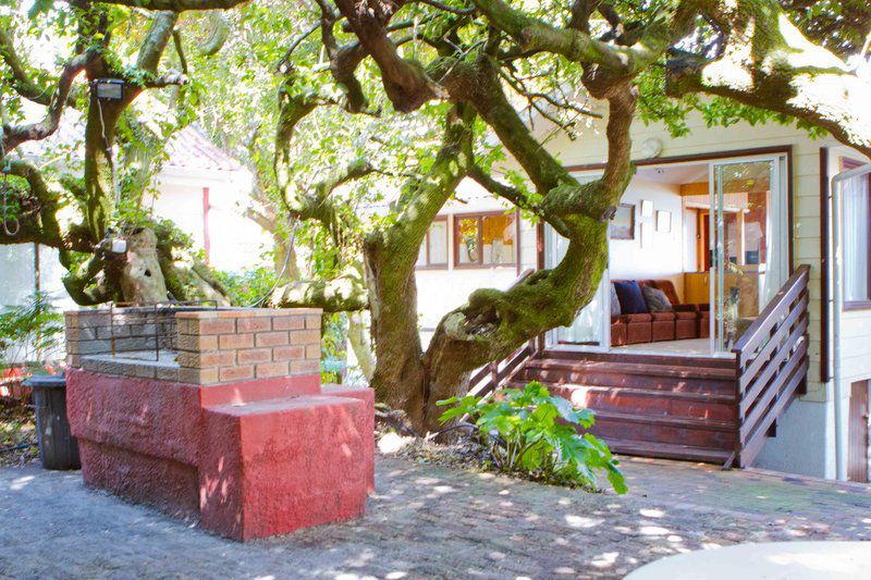 Melkboom Self Catering Villa Franskraal Western Cape South Africa House, Building, Architecture, Plant, Nature, Tree, Wood