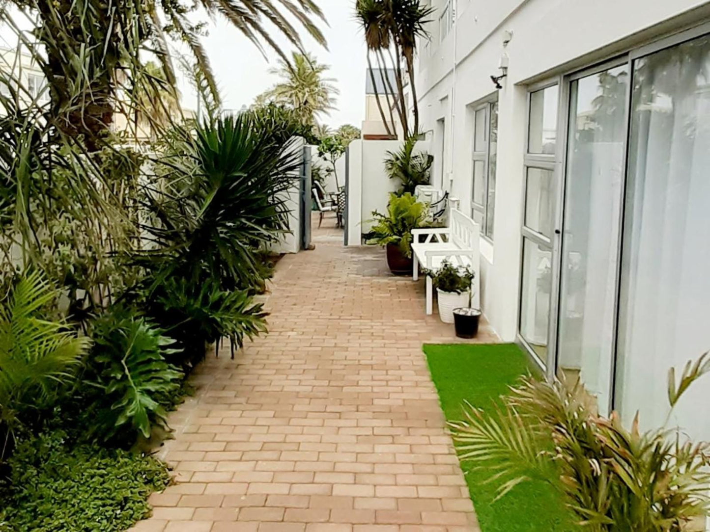 Melkbos On D Beach Guesthouse Melkbosstrand Cape Town Western Cape South Africa House, Building, Architecture, Palm Tree, Plant, Nature, Wood, Garden