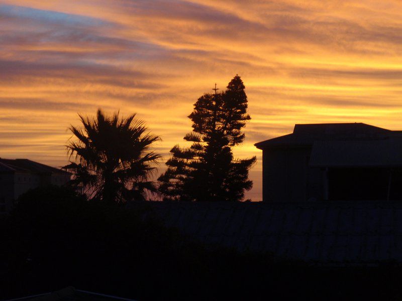 Melkbos Self Catering Apartment Melkbosstrand Cape Town Western Cape South Africa Palm Tree, Plant, Nature, Wood, Sky, Sunset