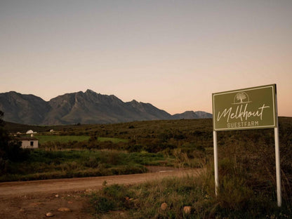 Melkhout Guest Farm, Sign, Desert, Nature, Sand