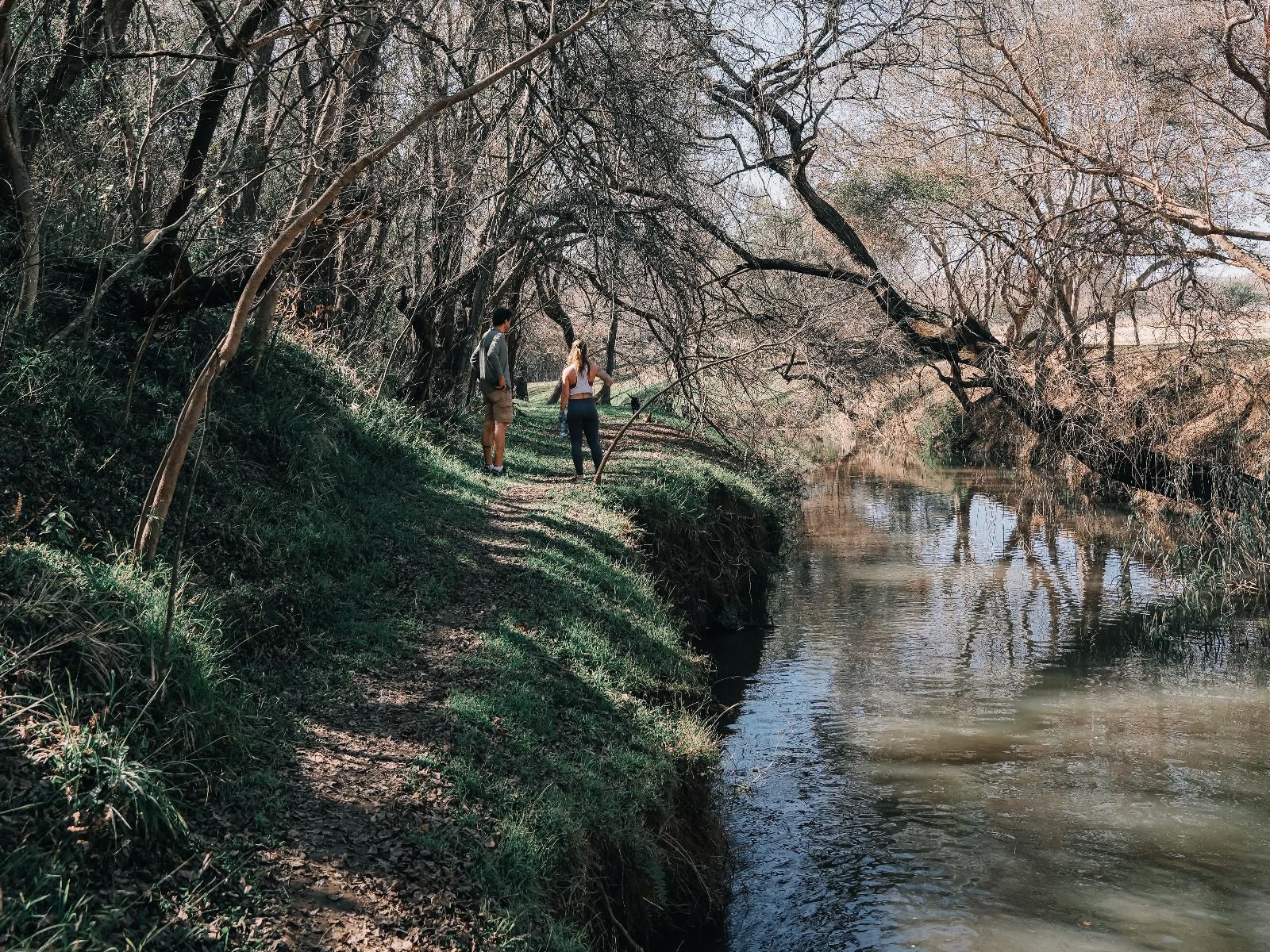 Melody Hill Retreat, Forest, Nature, Plant, Tree, Wood, River, Waters, Person