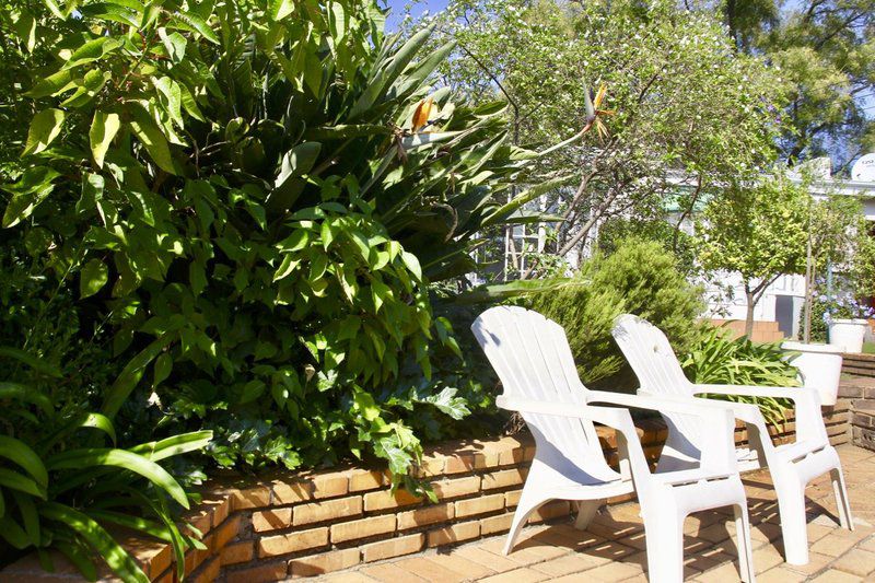 Melville Manor Guest House Melville Johannesburg Gauteng South Africa Plant, Nature, Garden