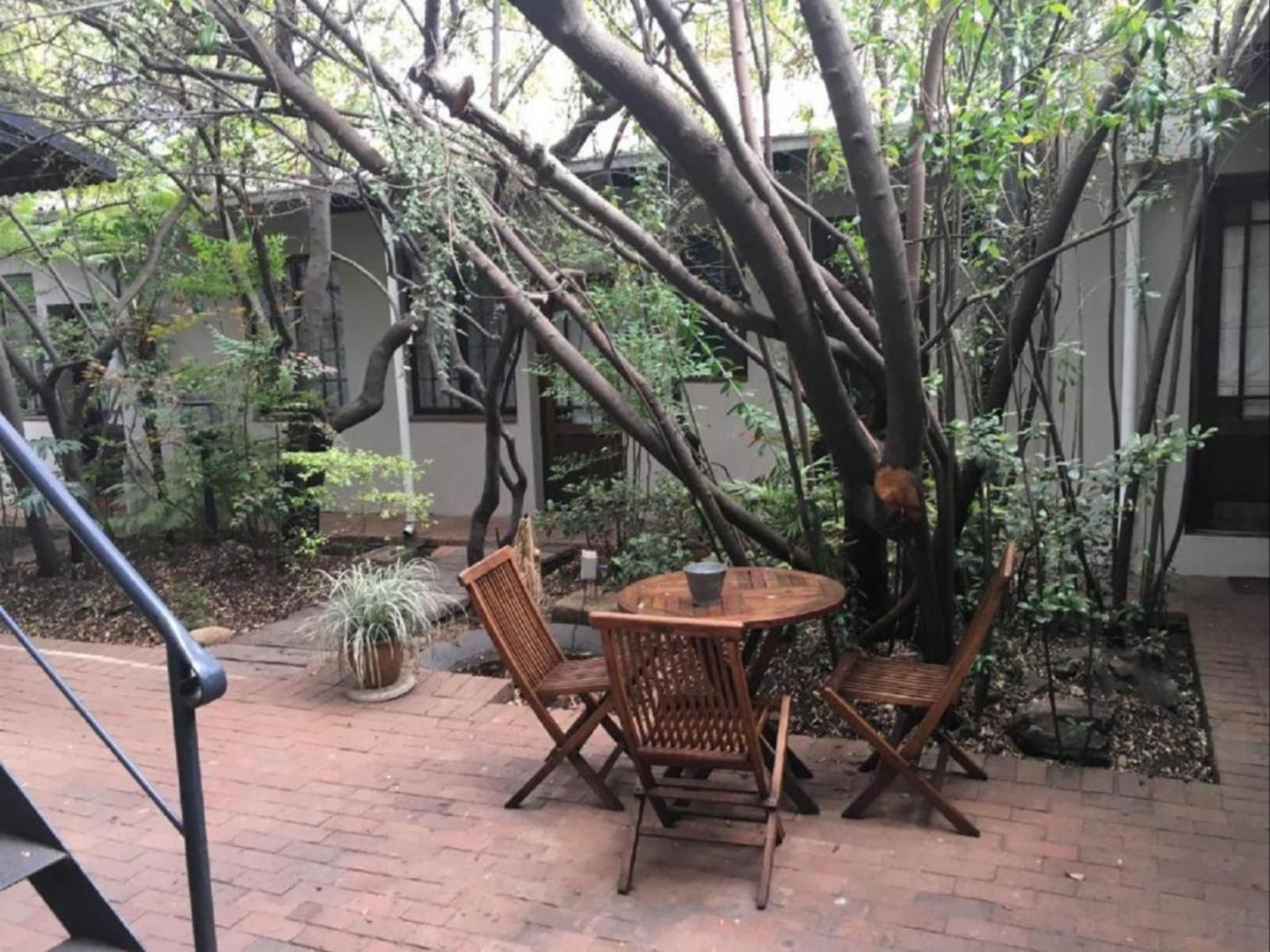 Melville Turret Guesthouse Melville Johannesburg Gauteng South Africa Plant, Nature, Garden