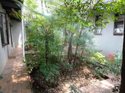 Melville Turret Guesthouse Melville Johannesburg Gauteng South Africa Plant, Nature, Tree, Wood, Garden