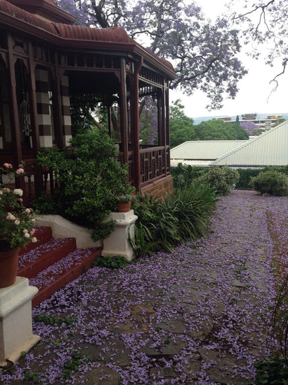 Melvin Residence Guest House Arcadia Pretoria Tshwane Gauteng South Africa Plant, Nature, Garden