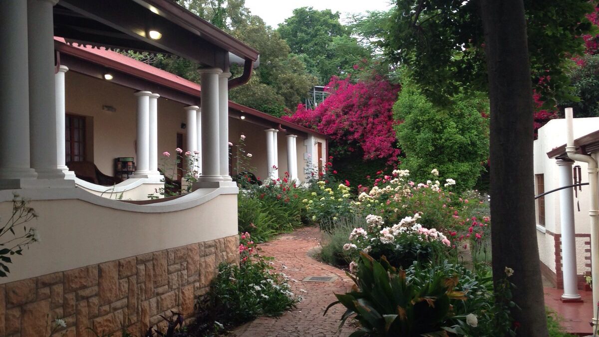 Melvin Residence Guest House Arcadia Pretoria Tshwane Gauteng South Africa House, Building, Architecture, Plant, Nature, Rose, Flower, Garden