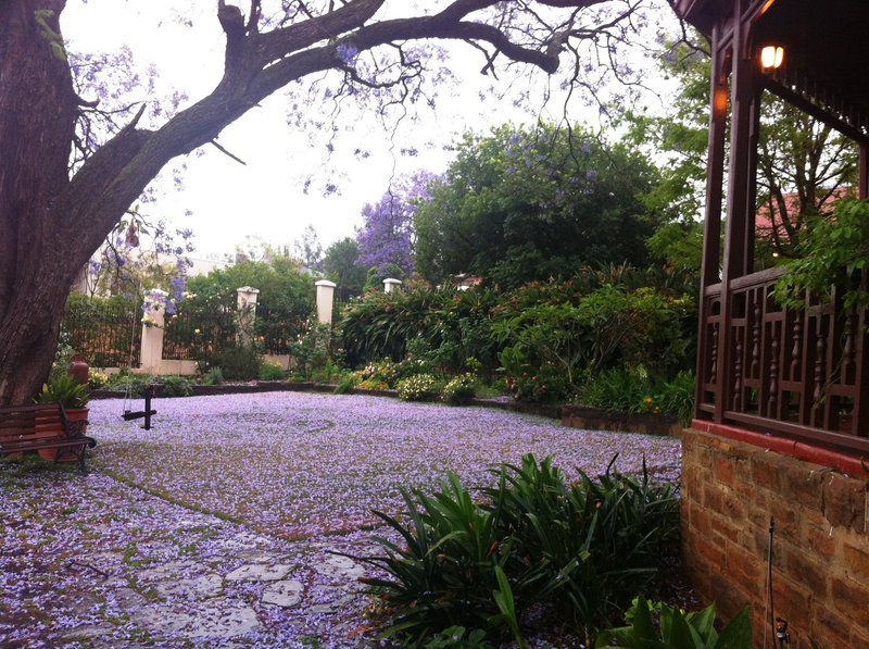 Melvin Residence Guest House Arcadia Pretoria Tshwane Gauteng South Africa 1 Plant, Nature, Garden