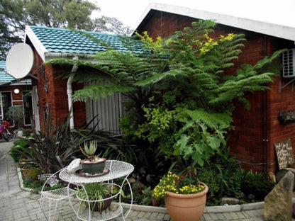 Memra Guest House Ladysmith Kwazulu Natal Kwazulu Natal South Africa House, Building, Architecture, Plant, Nature, Tree, Wood, Garden