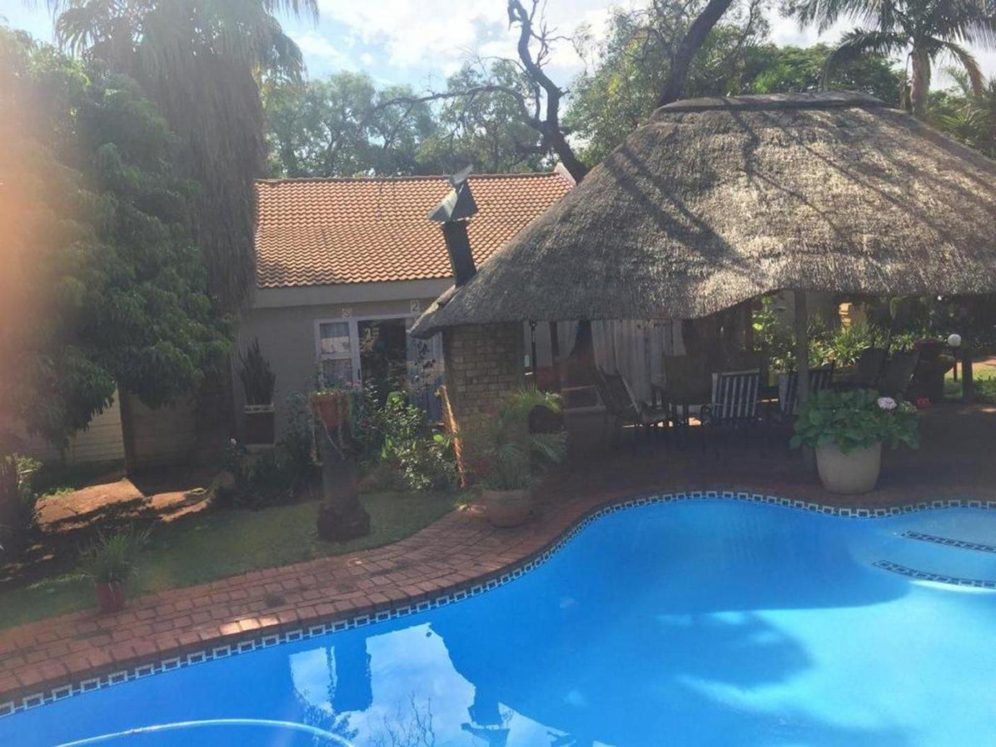 Meraki Guesthouse Cashan Rustenburg North West Province South Africa Palm Tree, Plant, Nature, Wood, Swimming Pool