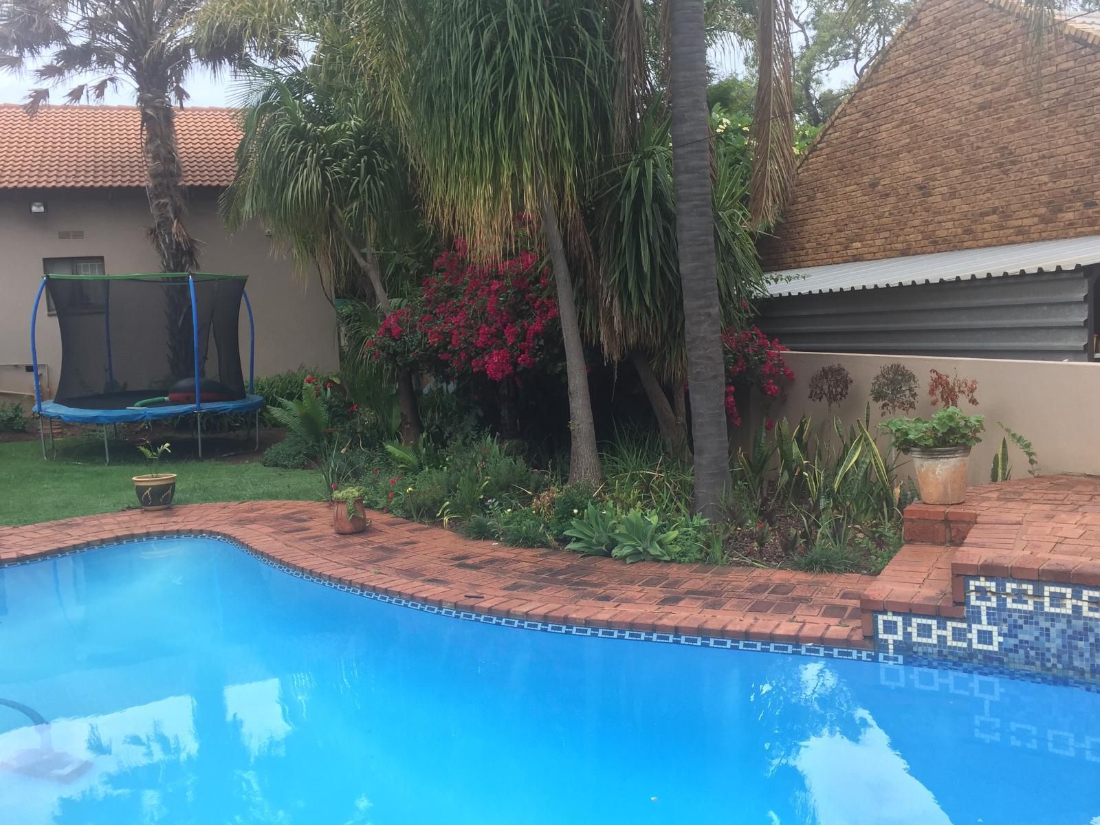 Meraki Guesthouse Cashan Rustenburg North West Province South Africa Palm Tree, Plant, Nature, Wood, Garden, Swimming Pool