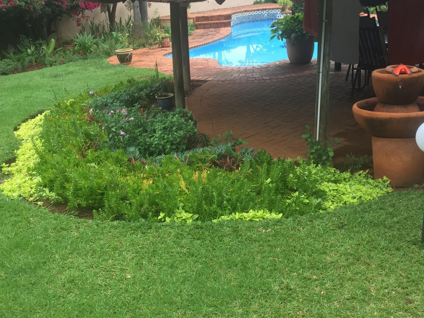Meraki Guesthouse Cashan Rustenburg North West Province South Africa Plant, Nature, Garden, Swimming Pool