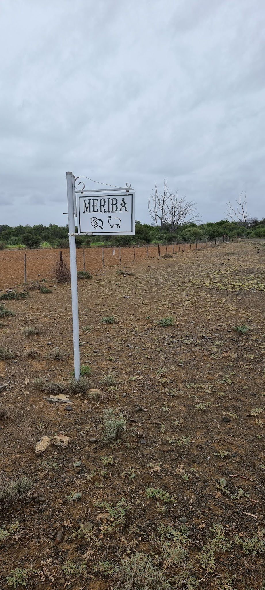 Meriba Adventures Rietbron Eastern Cape South Africa Cactus, Plant, Nature, Field, Agriculture, Sign, Text, Lowland