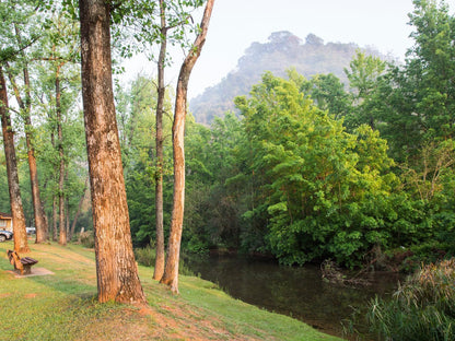 Merry Pebbles Resort Sabie Mpumalanga South Africa Forest, Nature, Plant, Tree, Wood, River, Waters