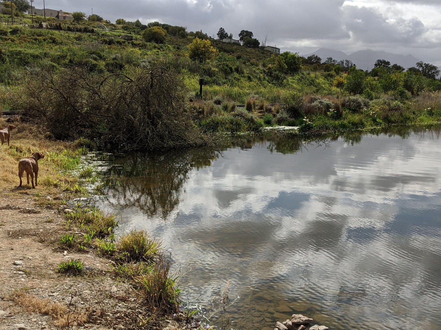 Merwenstein Guest House Bonnievale Western Cape South Africa River, Nature, Waters