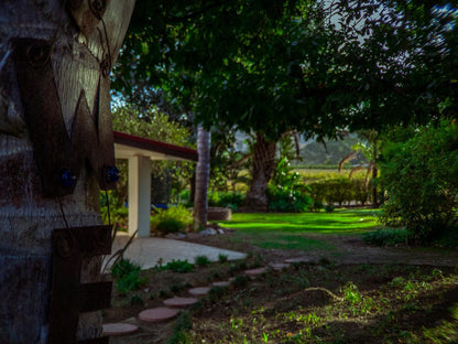 Merwenstein Guest House Bonnievale Western Cape South Africa Palm Tree, Plant, Nature, Wood, Framing