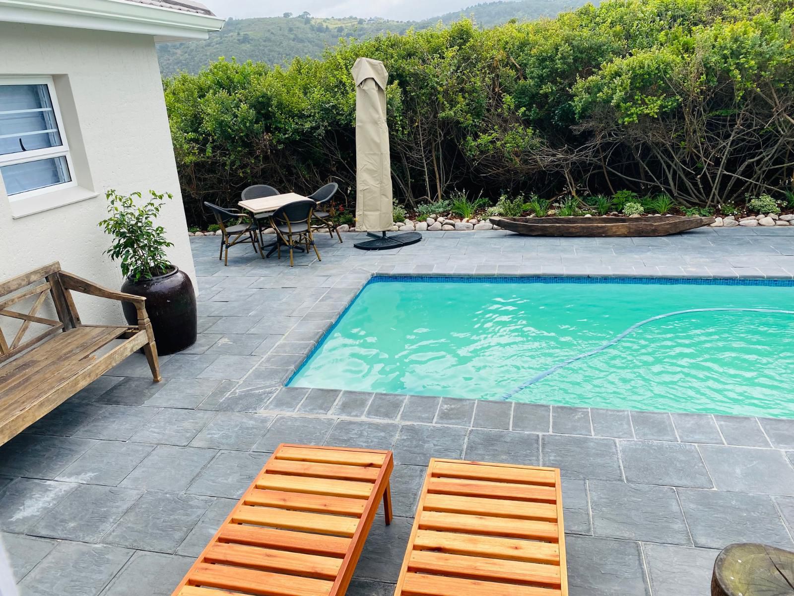 Mes Amis Guesthouse Wilderness Western Cape South Africa Swimming Pool