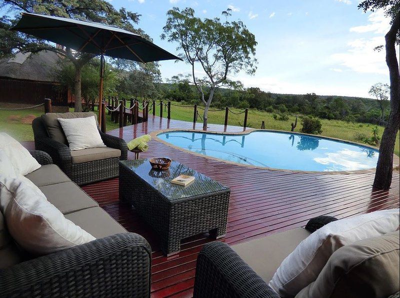 Metsi Lodge Welgevonden Game Reserve Limpopo Province South Africa Swimming Pool