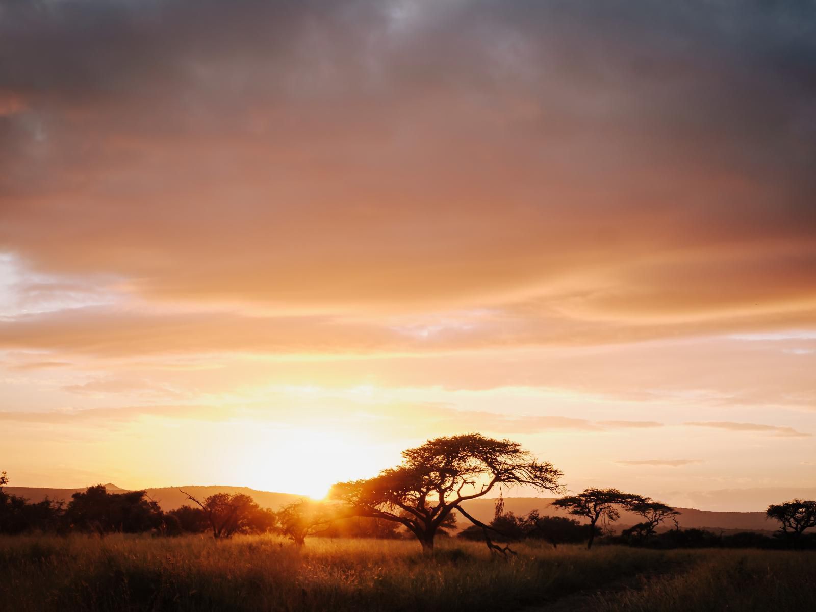 Mfulawozi Wilderness Biyela Lodge Ulundi Kwazulu Natal South Africa Sky, Nature, Sunset