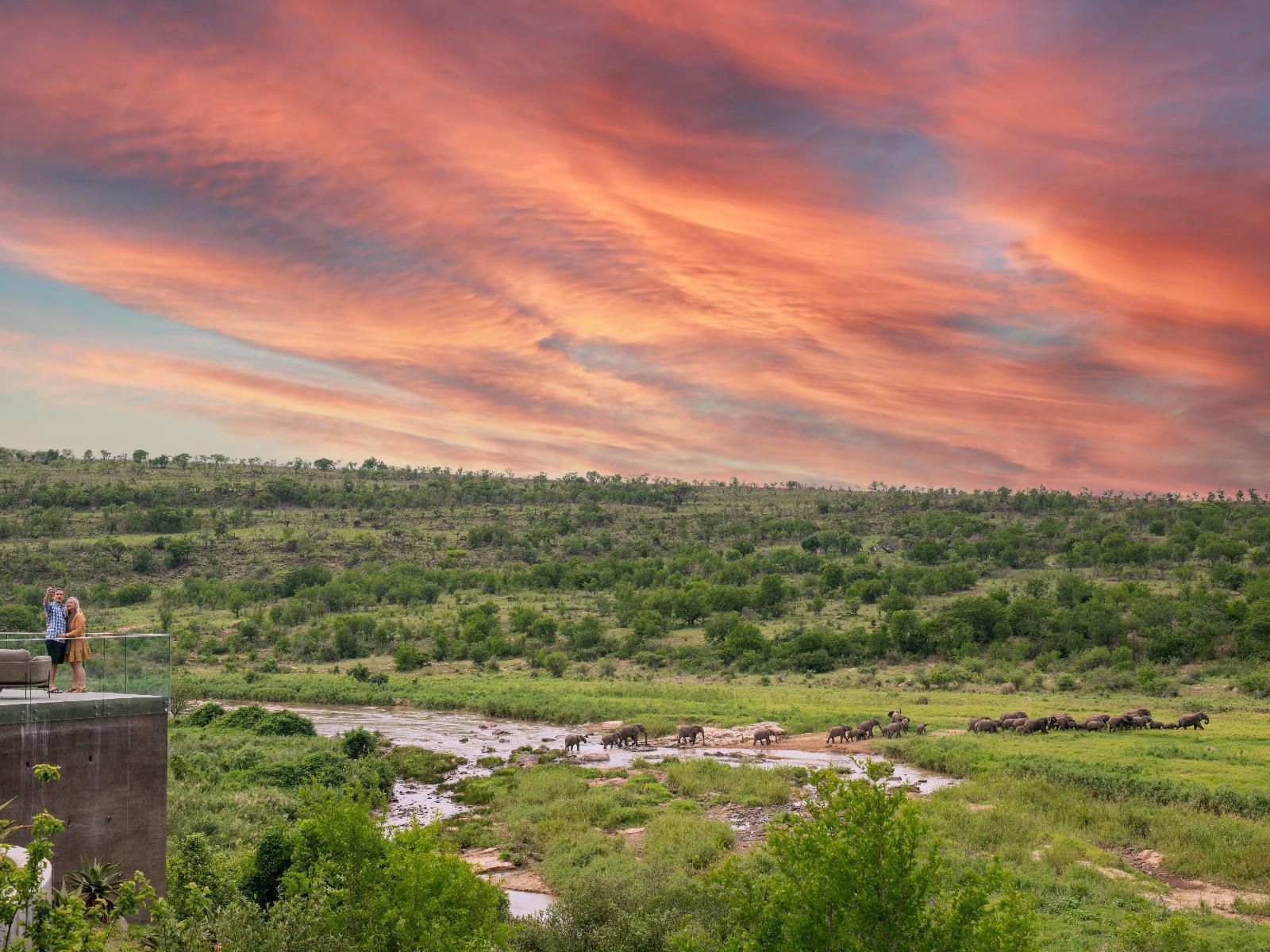 Mfulawozi Wilderness Biyela Lodge Ulundi Kwazulu Natal South Africa Nature