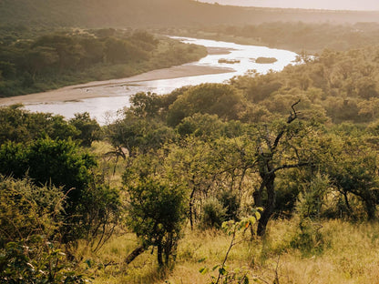 Mfulawozi Wilderness Biyela Lodge Ulundi Kwazulu Natal South Africa 