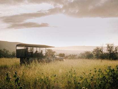 Mfulawozi Wilderness Biyela Lodge Ulundi Kwazulu Natal South Africa Field, Nature, Agriculture, Lowland, Vehicle