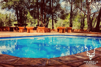 Mgankla Lodge Brits North West Province South Africa Complementary Colors, Swimming Pool