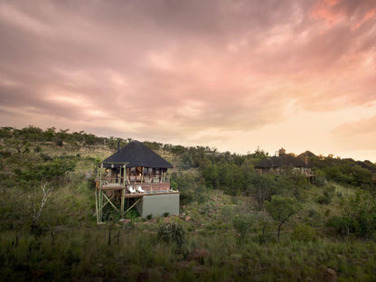 Mhondoro Safari Lodge & Villa